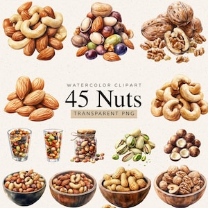 Könnte beinhalten: Aquarell-Clipart mit verschiedenen Nüssen, darunter Mandeln, Cashewnüsse, Walnüsse und Pistazien. Das Bild enthält den Text "45 Nuts" und "Transparent PNG". Die Nüsse sind in Haufen, Schalen und Gläsern angeordnet.