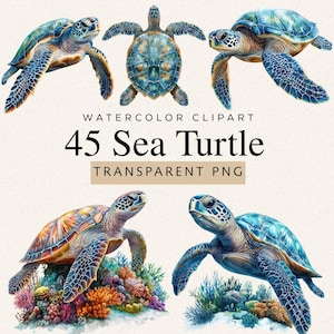 Puede incluir: Clipart de acuarela con 45 ilustraciones de tortugas marinas. Las tortugas se representan en varias poses, mostrando sus caparazones azules, verdes y marrones. También se ve el texto "WATERCOLOR CLIPART" y "45 Sea Turtle TRANSPARENT PNG".