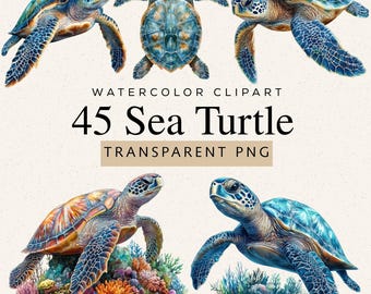 Sea Turtle Watercolor Clipart, 45 PNG Images, Ocean Animal Illustration Collection (Digital Download)