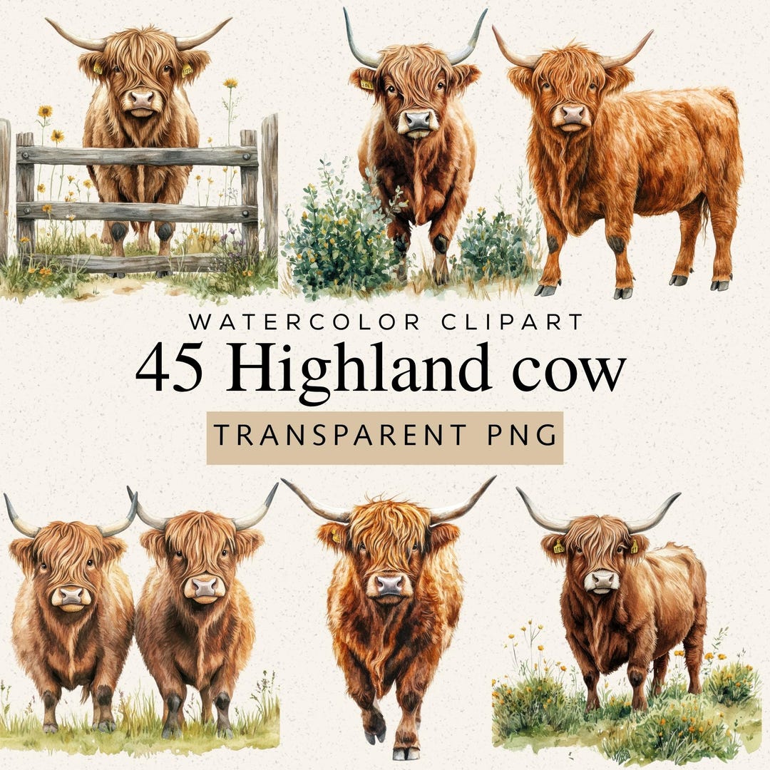 Watercolor Highland Cow Clipart, 45 PNG Images, Farm Animal ...