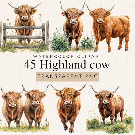 Watercolor Highland Cow Clipart, 45 PNG Images, Farm Animal Illustration Collection (Digital Download)