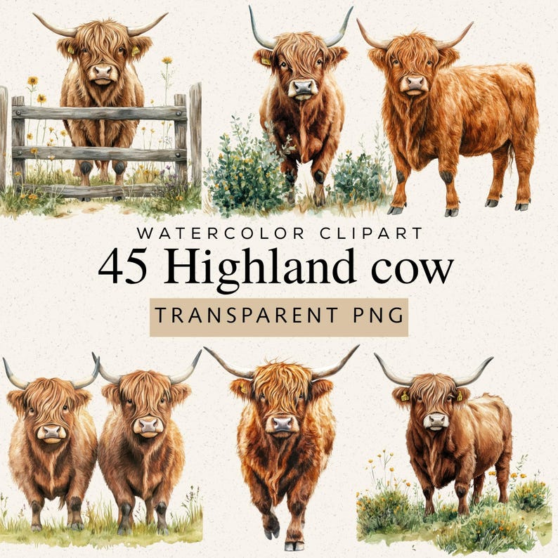 May include: A collection of watercolor illustrations featuring brown Highland cows in various poses, including standing by a wooden fence and in grassy fields. The text reads WATERCOLOR CLIPART 45 Highland cow TRANSPARENT PNG.