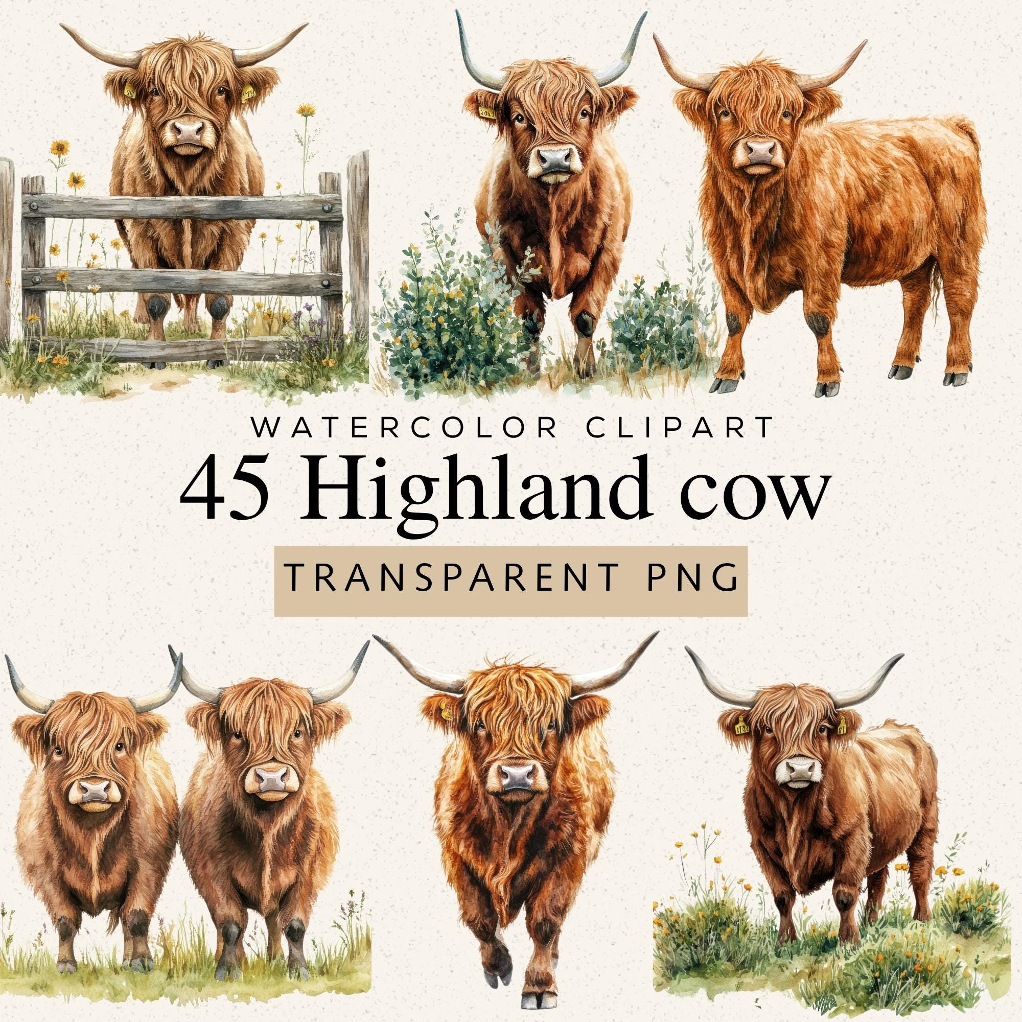 Watercolor Highland Cow Clipart, 45 PNG Images, Farm Animal ...