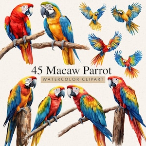 May include: Watercolor clipart featuring various macaw parrots in vibrant colors. The image includes parrots perched on branches and in flight, with a text overlay stating "45 Macaw Parrot Watercolor Clipart."