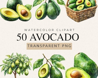 Imágenes prediseñadas de aguacate en acuarela, 50 imágenes PNG, ilustración de fruta saludable (descarga digital)