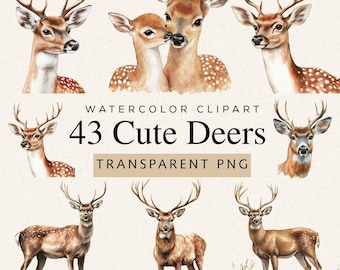 May include: Watercolor clipart featuring various deer illustrations. The image includes deer of different sizes and poses, with some having antlers and spotted coats. Text reads "43 Cute Deers" and "Transparent PNG".