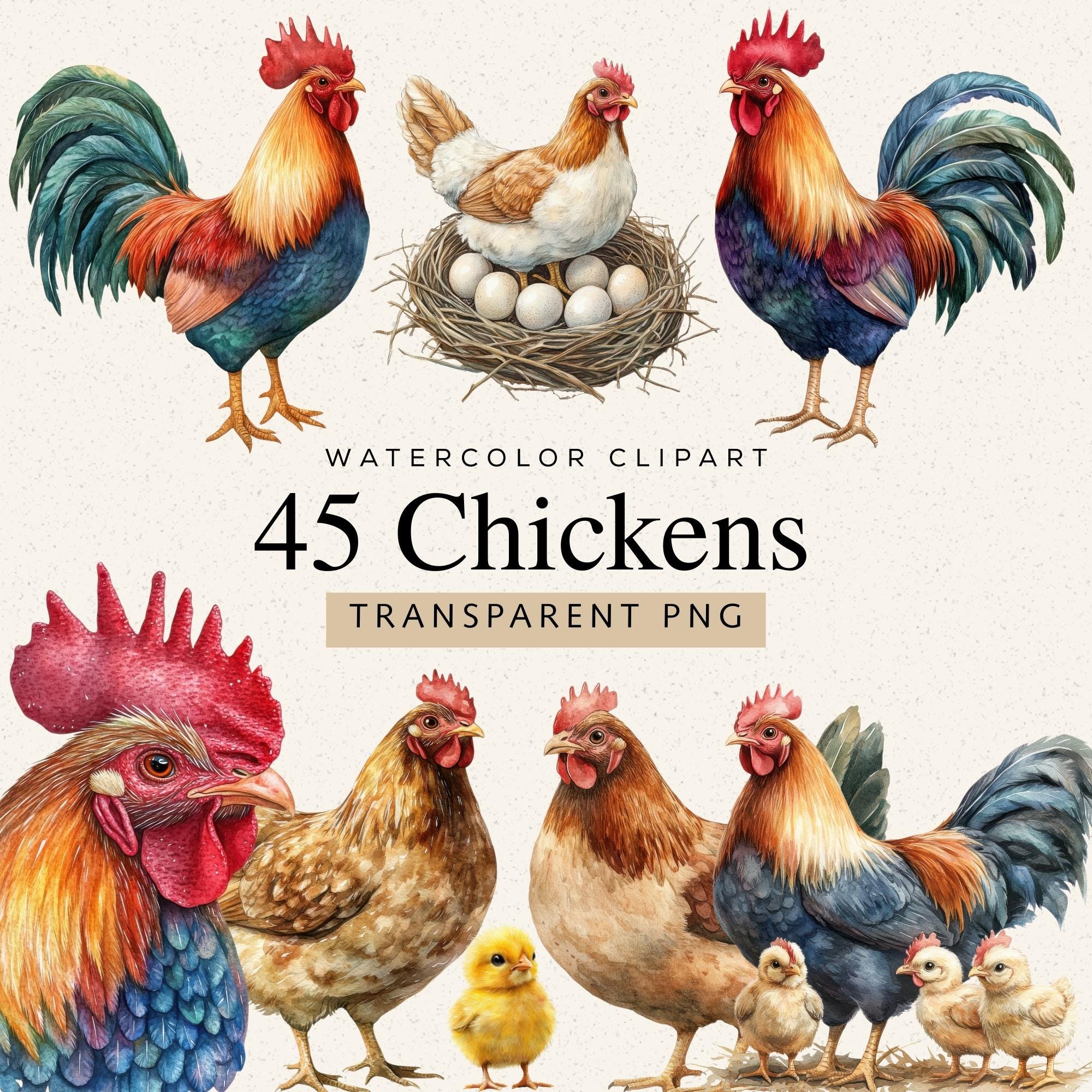 Chicken Watercolor Clipart, 45 PNG Images, Farm Poultry Animal Art - Etsy