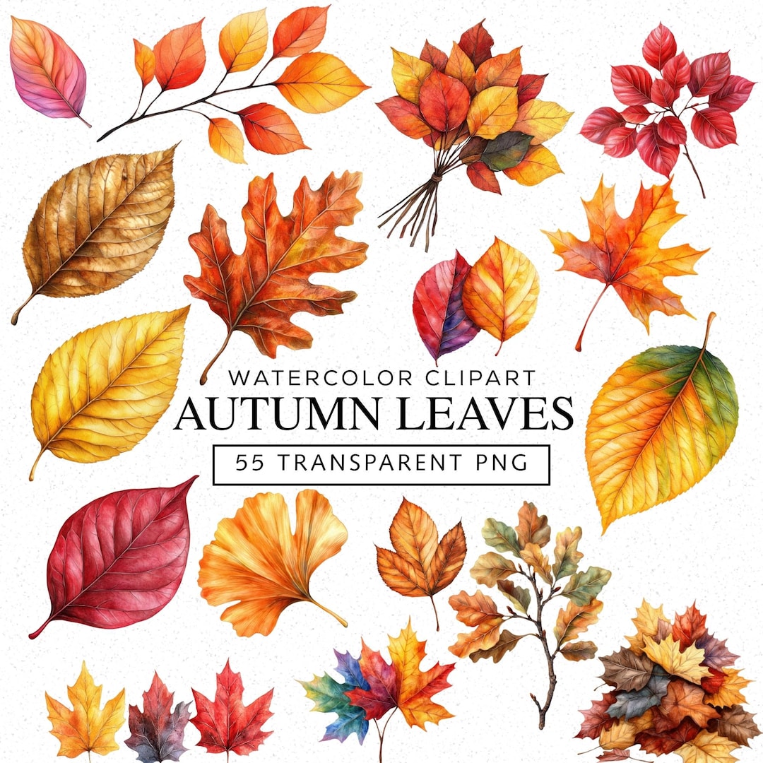 Autumn Leaves Clipart, Watercolor Fall Leaf Clipart Bundle, 55 Fall ...