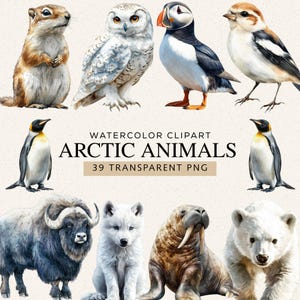 May include: Watercolor clipart featuring various arctic animals, including a groundhog, owl, puffin, and penguin. The image also includes a musk ox, arctic fox, walrus, and polar bear. Text reads "Watercolor Clipart Arctic Animals 39 Transparent PNG."