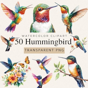 Peut inclure: Clipart aquarelle représentant des illustrations de colibris vibrants dans diverses poses. L'image comprend plusieurs colibris aux plumes colorées, aux ailes déployées et perchés sur des branches. Le texte indique "50 Hummingbird" et "Transparent PNG".