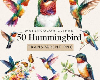 Imágenes prediseñadas de colibríes en acuarela, 50 imágenes PNG, ilustración de aves de jardín floral (descarga digital)