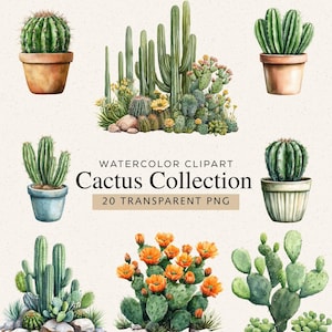 Puede incluir: Ilustración en acuarela de una colección de cactus, incluyendo varios cactus en macetas y arreglos naturales. La imagen incluye el texto "Watercolor Clipart Cactus Collection 20 Transparent PNG". Los cactus son verdes, algunos con flores naranjas.