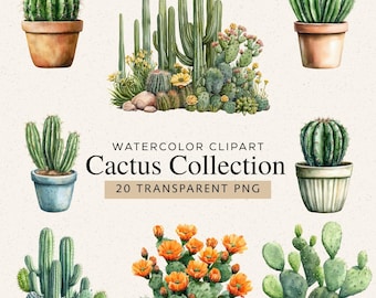 Watercolor Cactus Clipart, Plant Art (Digital Download)