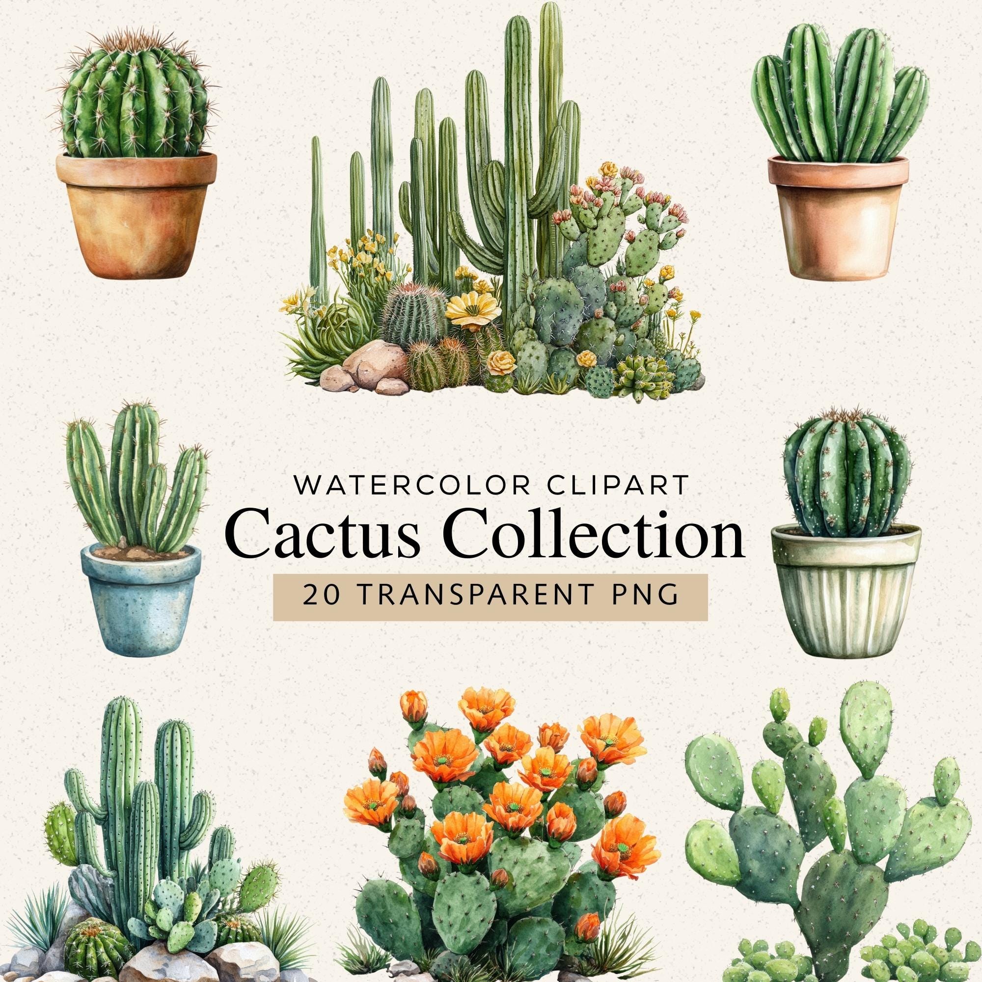 Plant Collage - Etsy