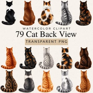 May include: A collection of watercolor illustrations featuring fifteen cats shown from the back view, displaying various fur colors and patterns including tabby, calico, solid, and tortoiseshell. The text reads WATERCOLOR CLIPART 79 Cat Back View TRANSPARENT PNG.