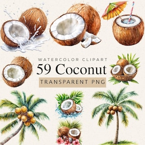 May include: Watercolor clipart featuring various coconuts, some halved to reveal the white flesh, with water splashes and a cocktail. The image includes palm trees and the text "59 Coconut Transparent PNG".