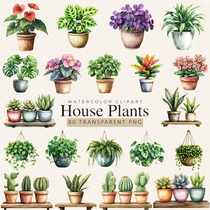 Puede incluir: Ilustración en acuarela de varias plantas de interior en macetas, incluyendo suculentas y plantas colgantes. La imagen presenta una variedad de colores y texturas, con el texto "House Plants" y "80 Transparent PNG".