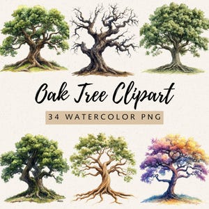 Puede incluir: Una colección de seis ilustraciones de robles en acuarela que muestran varios colores de follaje y estados estacionales. El texto Oak Tree Clipart y 34 WATERCOLOR PNG está centrado en el medio de la imagen en fuentes negra y marrón.