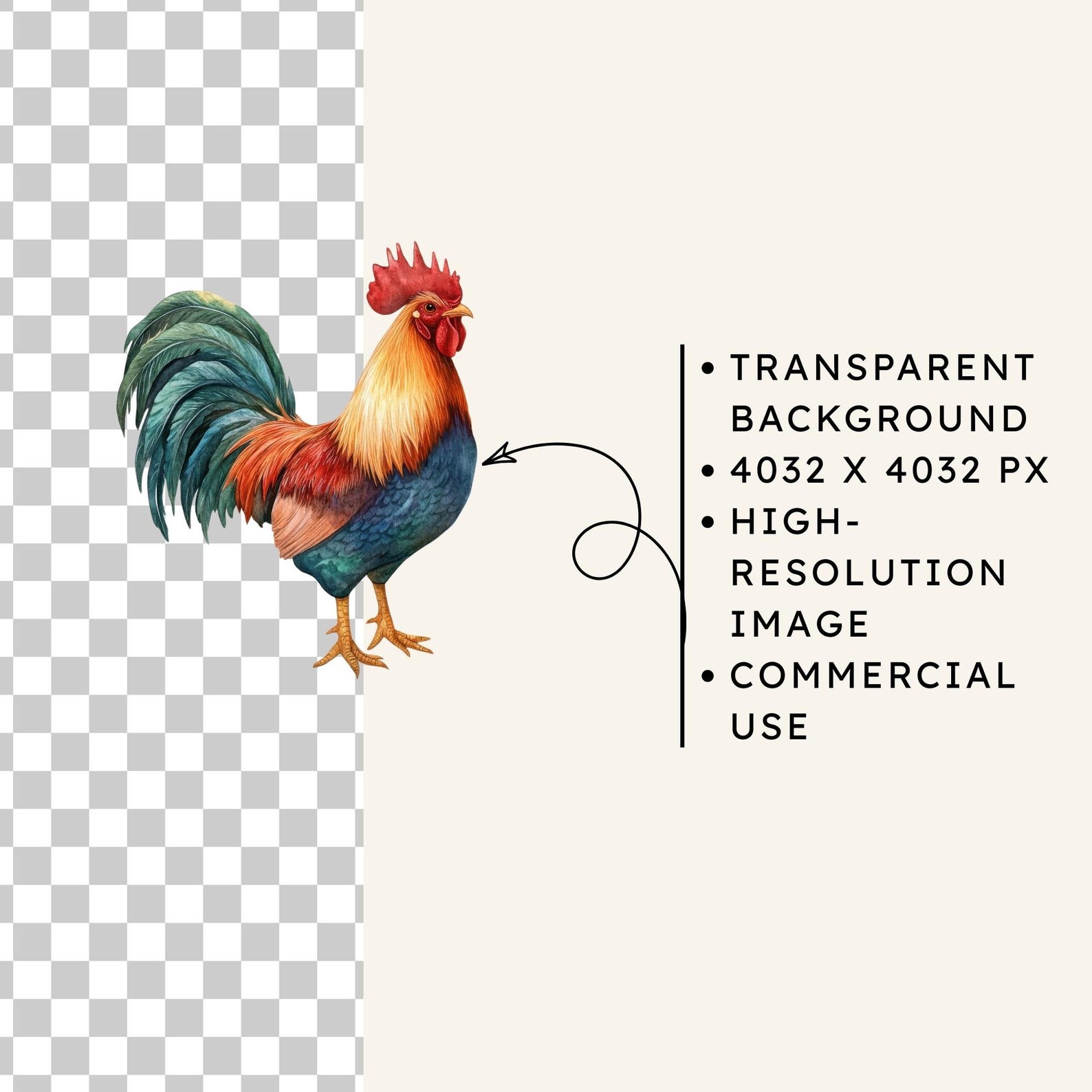 Chicken Watercolor Clipart, 45 PNG Images, Farm Poultry Animal Art - Etsy