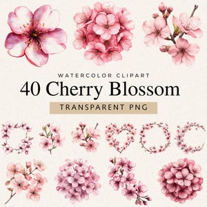 Può includere: Clipart ad acquerello con 40 illustrazioni di fiori di ciliegio in varie disposizioni. I fiori sono in tonalità rosa e bianco, con petali dettagliati e sfondo PNG trasparente. Il testo recita "40 Cherry Blossom".