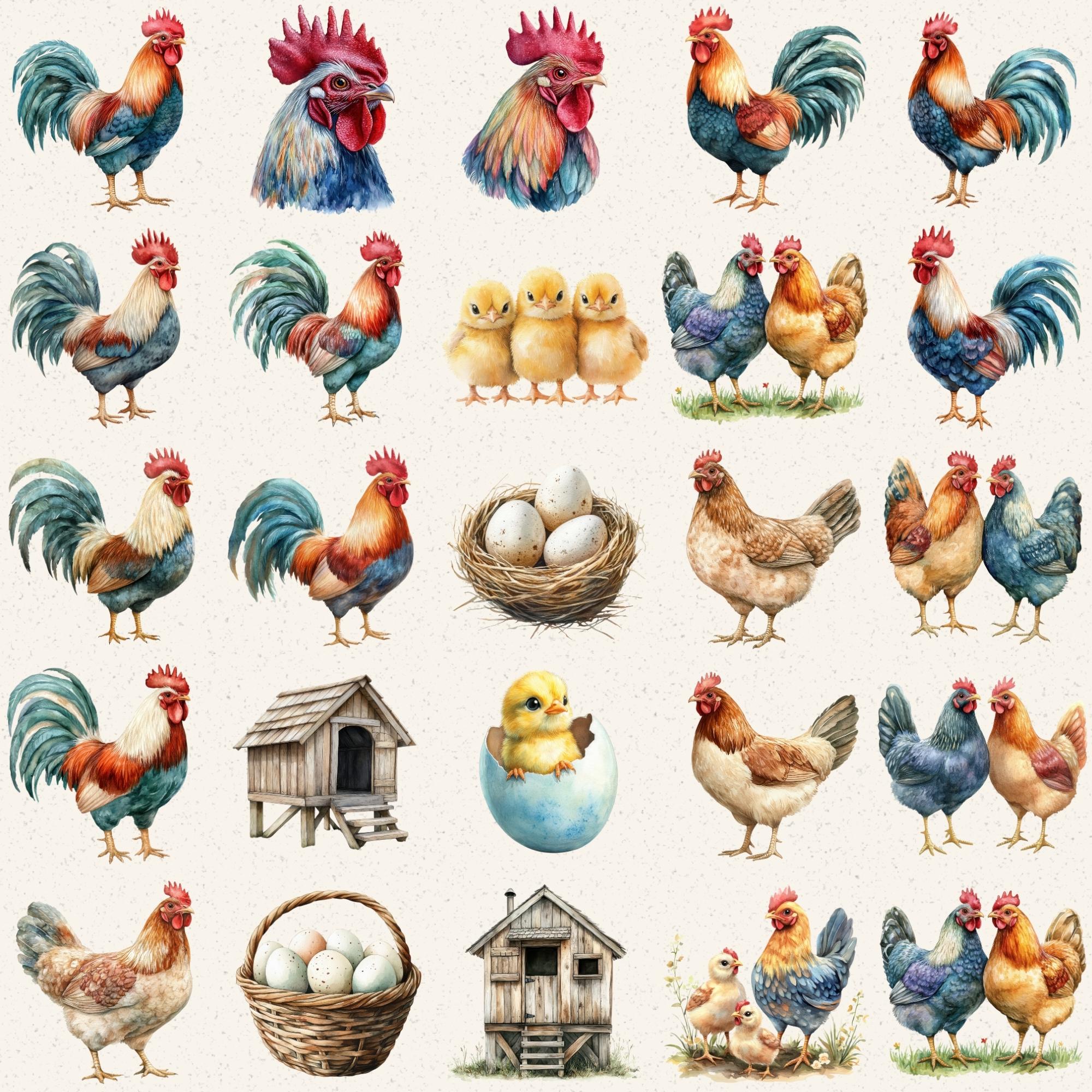 Chicken Watercolor Clipart, 45 PNG Images, Farm Poultry Animal Art - Etsy