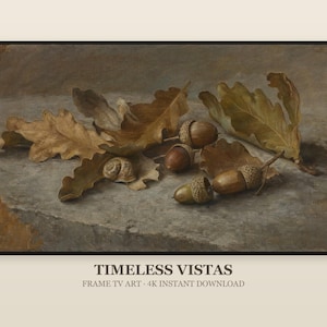 Peut inclure: Une impression d'art numérique représentant une nature morte composée de feuilles de chêne séchées brunes, de plusieurs glands aux cupules texturées et d'une petite coquille d'escargot sur une pierre. Le texte indique TIMELESS VISTAS FRAME TV ART 4K INSTANT DOWNLOAD.