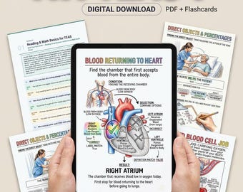 ATI TEAS 7 Exam Prep Bundle, 500+ Questions, Flashcards (Digital Download)