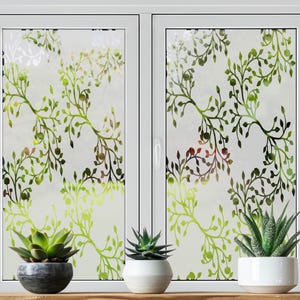 Pode incluir: Uma moldura de janela branca com dois painéis, cada um com um design de vidro fosco de galhos frondosos verdes e marrons. Três suculentas em vasos estão em uma prateleira de madeira sob a janela.