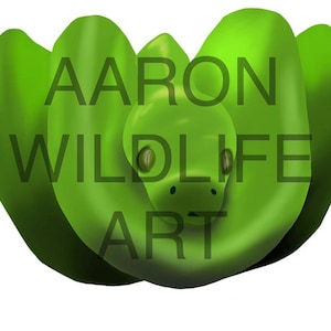 Könnte beinhalten: Eine digitale Illustration einer sich ringelnden grünen Schlange mit einem braunen Ast im Hintergrund. Der Kopf der Schlange ist sichtbar, mit nach vorne gerichteten Augen. Der Text "AARON WILDLIFE ART" ist auf dem Bild überlagert.
