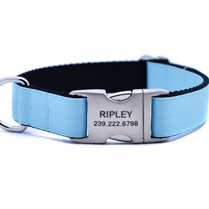 Baby Blue Ribbon & Webbing Dog Collar with Laser Engraved Personalized Buckle