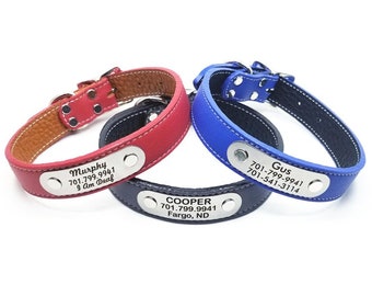 flying dog collars