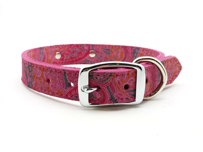 Paisley Suede Leather Dog Collar With Laser Engraved Etsy