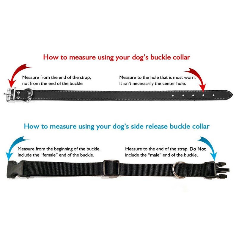 Leather Dog Collar With Laser Engraved Personalized Nameplate Etsy Canada