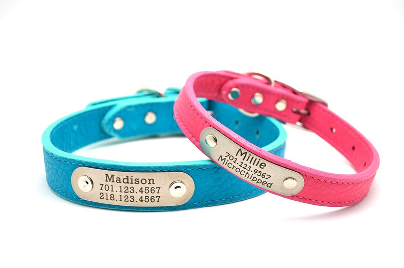 LUXE Leather Dog Collar With Personalized Nameplate 8 Colors Etsy