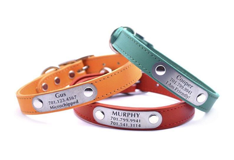 Leather Dog Collar With Laser Engraved Personalized Nameplate Etsy Canada
