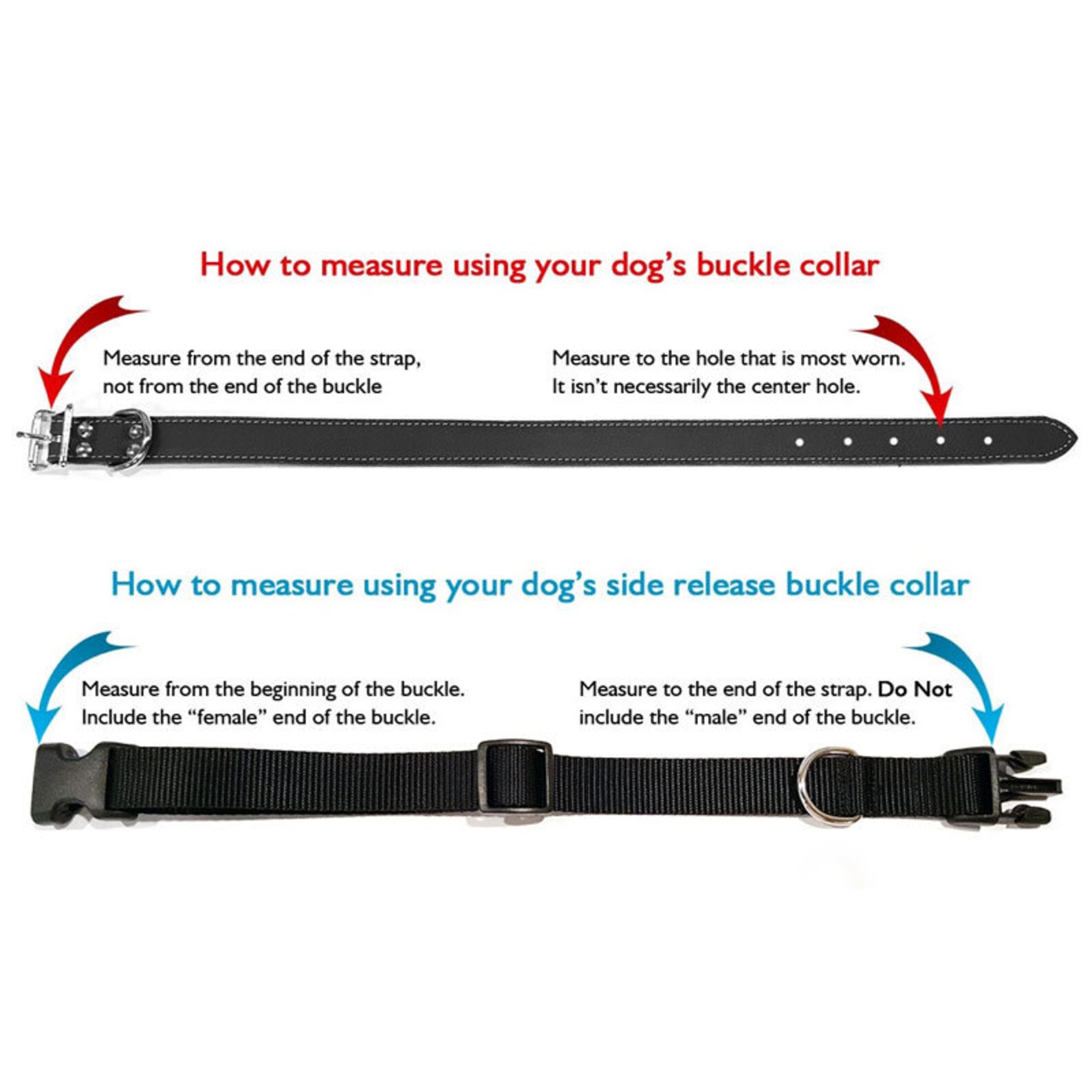 HEAVY DUTY Personalized bing Dog Collar and Adjustable Etsy