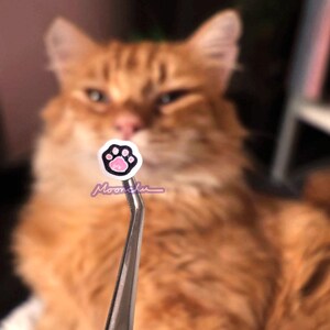 Puede incluir: Primer plano de una peque&ntilde;a pegatina de huella de pata rosa en unas pinzas de plata. La pegatina est&aacute; enfocada, mientras que las pinzas y un gato naranja borroso est&aacute;n desenfocados en el fondo.