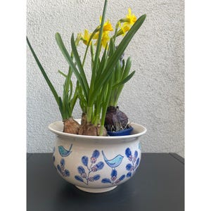 May include: A white ceramic planter with a blue bird and floral design, filled with daffodils and hyacinth bulbs. The daffodils have bright yellow blooms and green leaves. The planter is approximately 8 inches in diameter.
