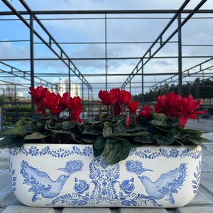 Może przedstawiać: Prostokątna biała ceramiczna donica z niebieskim wzorem kwiatowym i ptasim, wypełniona żywymi czerwonymi kwiatami cyklamenu i zielonymi liśćmi. Donica ma około 30 cm długości.