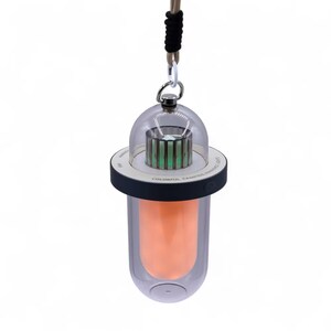 Peut inclure: Une lanterne de camping portable avec une coque extérieure transparente en forme de dôme et une source lumineuse cylindrique orange au centre. Un anneau noir entoure le milieu, portant le texte imprimé COLORFUL CAMPING AMBIENCE LIGHTS. Elle est suspendue par un cordon beige.