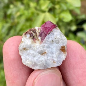 May include: A close-up of a rough, natural gemstone. The stone features a vibrant, deep pink crystal formation emerging from a matrix of white and tan rock. The gemstone is held in a person's hand, with a blurred green background.