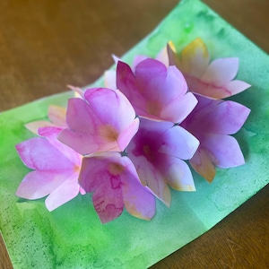 May include: A collection of paper flowers with pink and purple petals, with yellow highlights, placed on a green watercolour background. The flowers are layered, creating a 3D effect, and are set against a backdrop of a green watercolour wash.