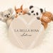labellarosastudios