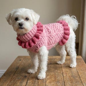 May include: A small white dog wearing a pink, hand-crocheted sweater. The sweater features a ruffled collar and trim, with a textured stitch pattern. The dog is standing on a wooden surface, showcasing the garment's design.