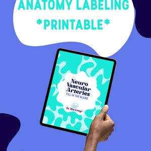 Neuro Vascular Downloadable Worksheet