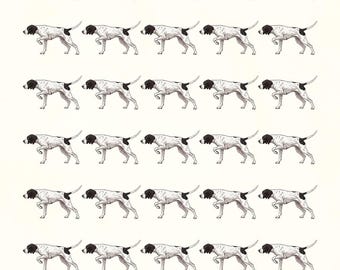 Pointing Bird Dog Wrapping Paper | Hunting Gift Wrap, Cream