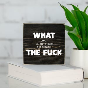 Peut inclure: Un bloc de bois noir avec du texte blanc qui dit "WHAT (AND I CANNOT STRESS THIS ENOUGH) THE FUCK". Le bloc est posé sur un livre blanc. Une plante verte dans un pot blanc est en arrière-plan.