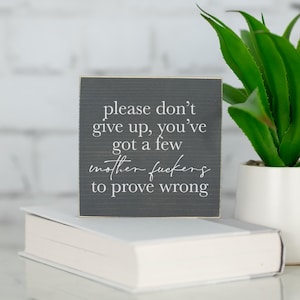 May include: A dark grey wooden block with white text that reads "please don't give up, you've got a few mother fuckers to prove wrong." The block is on a white book, with a green plant in a white pot behind it.