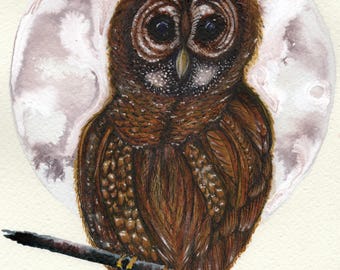 Hoot Did That Art Print