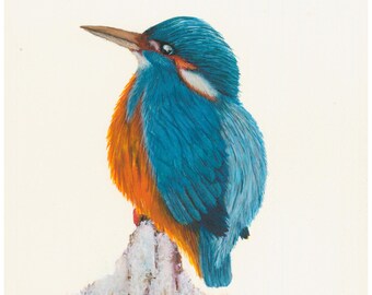 Vibrant Kingfisher Art Print